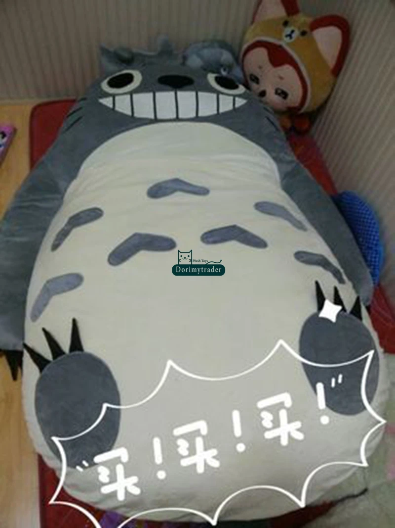 Dorimytrader Japan Anime Totoro Sleeping  (27)