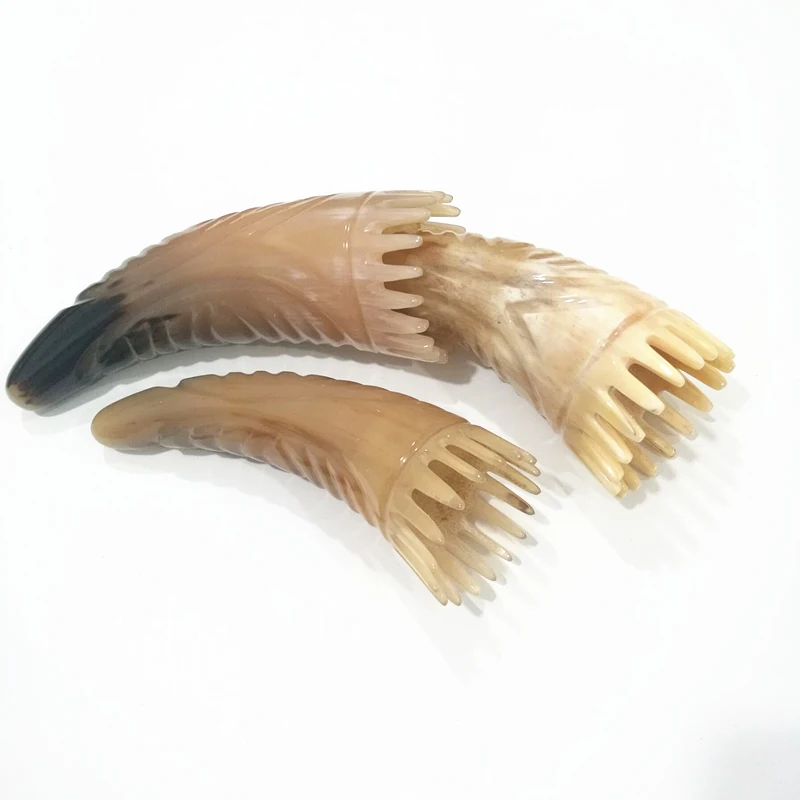   6_