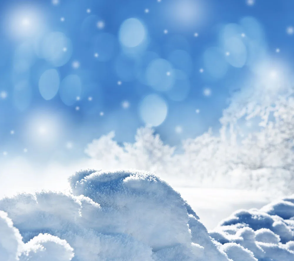 

10x10ft Snow Vinyl Backdrops for Photography Props Photo Studio Background TSN-05