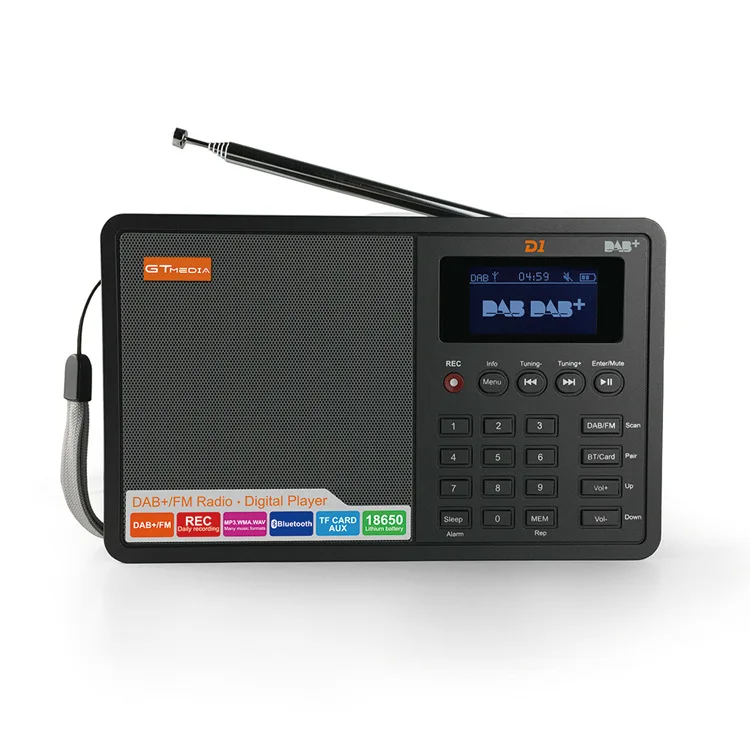 Цифровой FM радио цифровой интернет радио портативный fm DAB+ Радио Мини TF bluetooth динамик RADD1