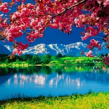 Живописные пейзажи DIY живопись по номерам 24 цвета пигментная кисть Искусство Ручная роспись креативная цифровая картина маслом