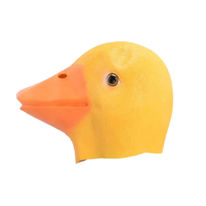 HTB1ohfsRpXXXXcnXXXXq6xXFXXXz