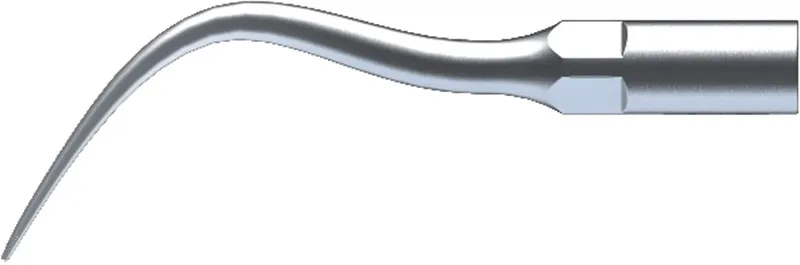 P4 (2)