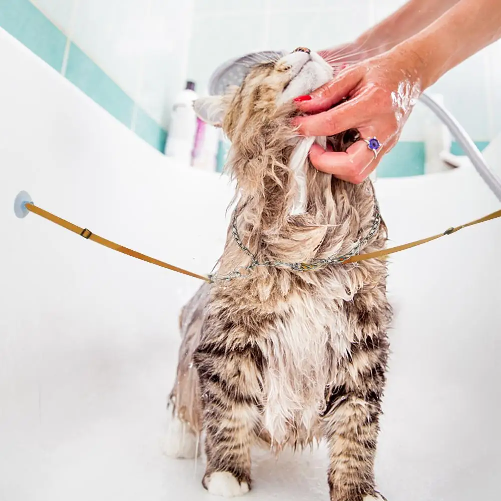 

2Pcs Dog Bathing Pet Leash Dog Bath Beauty Fixed Rope Bathtub Suction Cup Fixed Rope For Cats Dogs Cleaning Accessories 20E