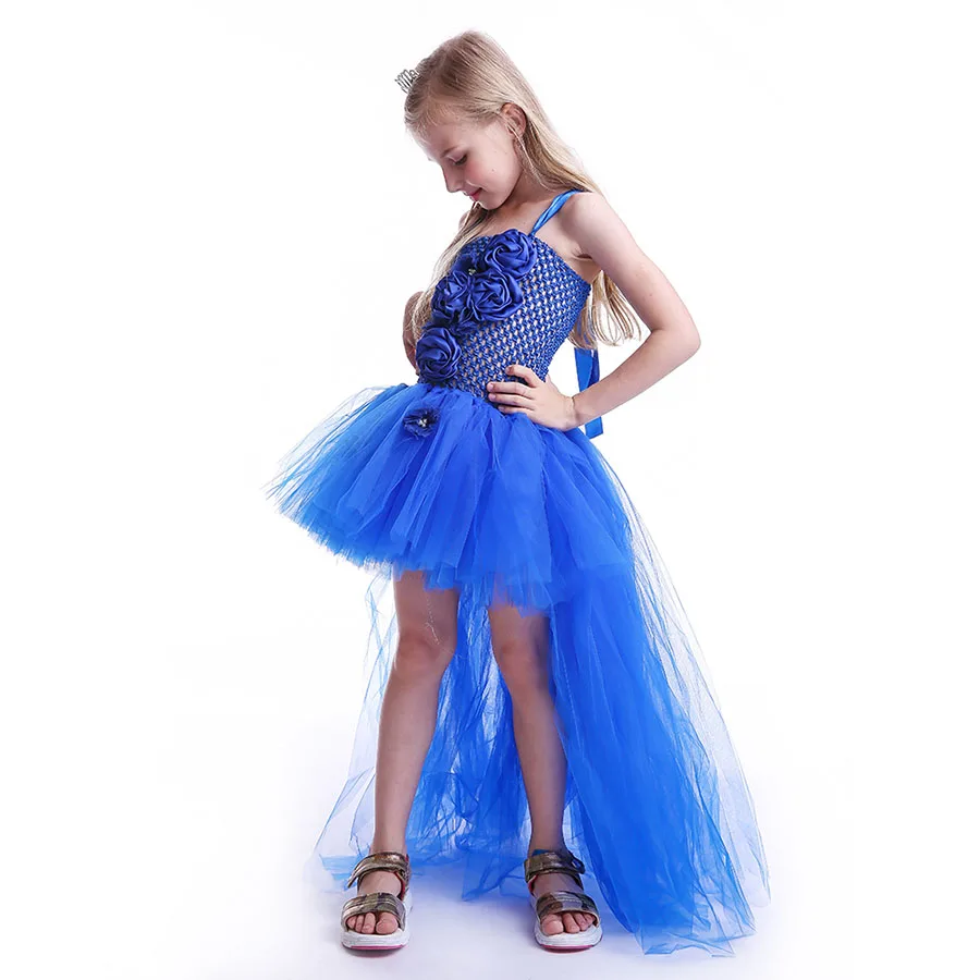 Kids Princess Blue Flowers Long Tail Tutu Dress Baby Girls Summer Tulle Wedding (3)