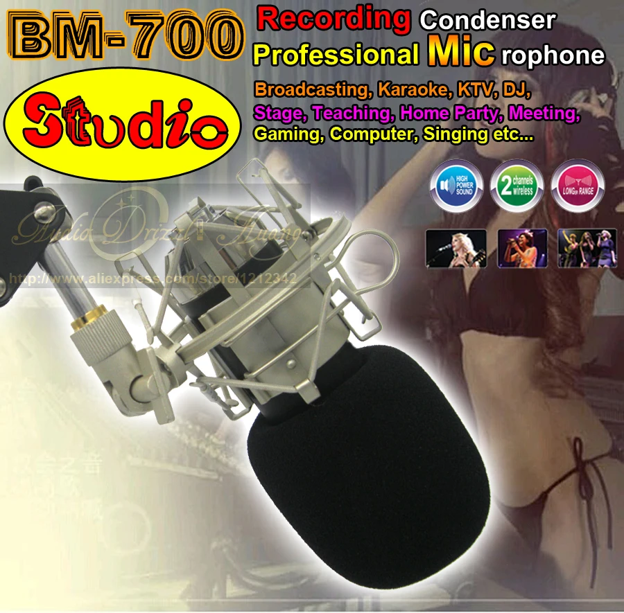 Buy Professional Wired Dynamic Recording Studio