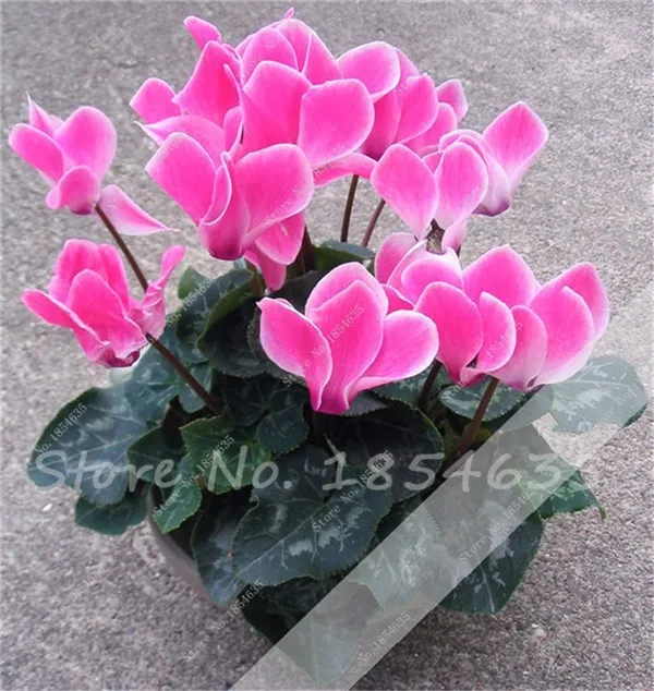 02384F6F6896F895F8FE09095EDEB9EB