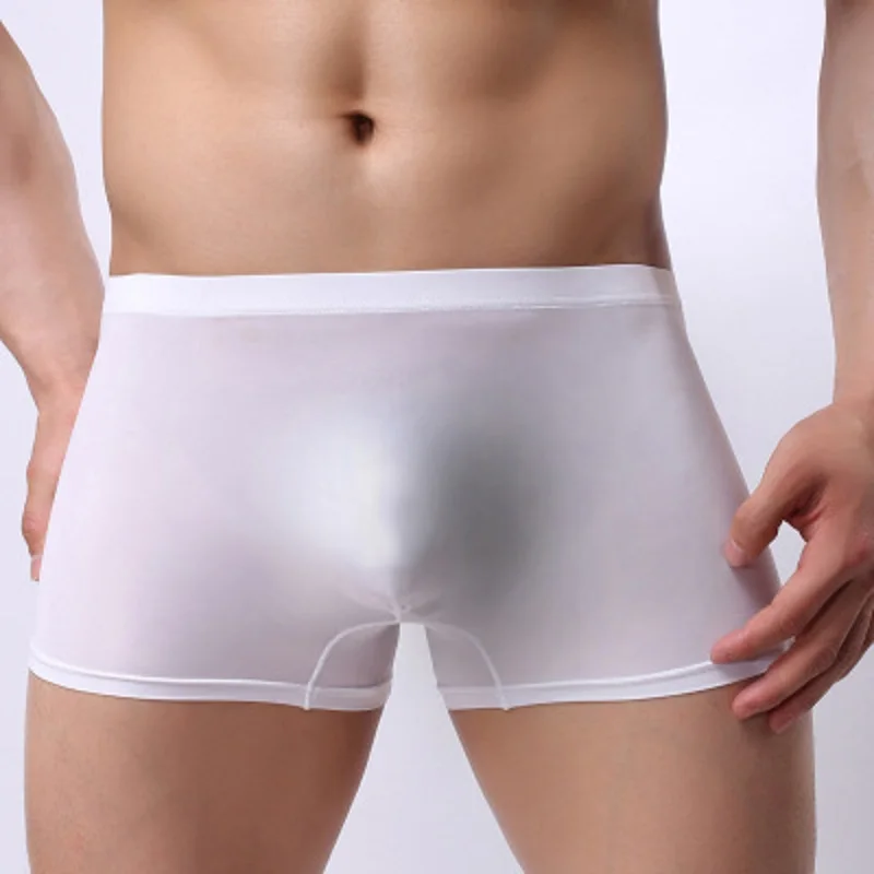 Mens Ice Silk Boxers Slip Hombre Underpants Boxer Sexy Homme Transparent Seamless Underwear Gay Fetish U Convex Sac Boxer Shorts|Boxers| - AliExpress