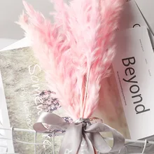 Натуральный сушеный цветок розовый белый pampasgrass цветок украшение дома отеля