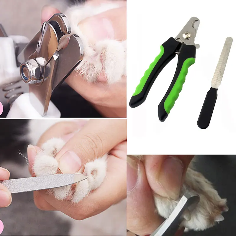 Ножницы-когтерез для кошек (cat nail scissors)5903111644192. Когтерез с ограничителем. Rurri когтерез секатор. Когтерез бокорез для собак. Когтерез для собак omp 002 gr.