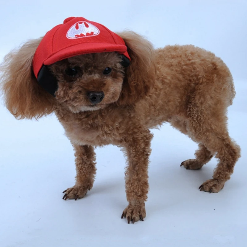 Мультфильм прилив карты Солнцезащитная шляпа Pet Sunhat кошка собака костюмы