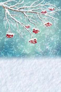 

125*200CM Winter snow New Photography Backdrop Photo Studio Props Newborn Pets Photography Background cloth D-9311