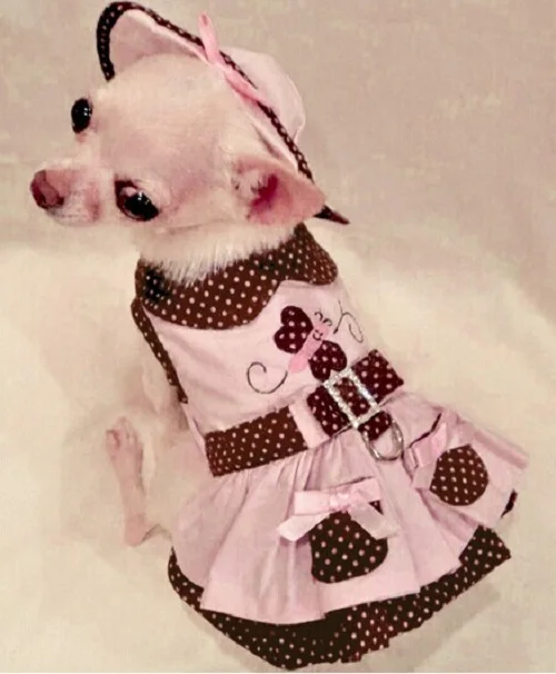 S15_New_design_XS_XL_Pet_dresses_Set_Dog_Puppy_Cats_Dress_Harness_Leash_Collar_Hat Headwear_Physiological_Sanitary_Panty_3