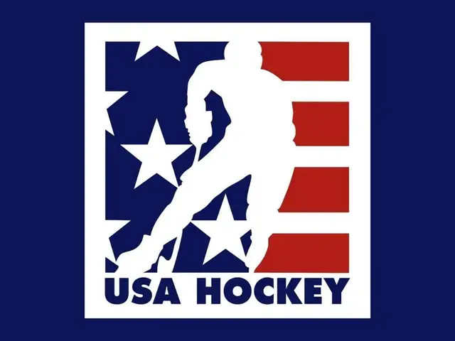 different style USA Hockey Flag N*HL National Hockey League 3ft x 5ft ...