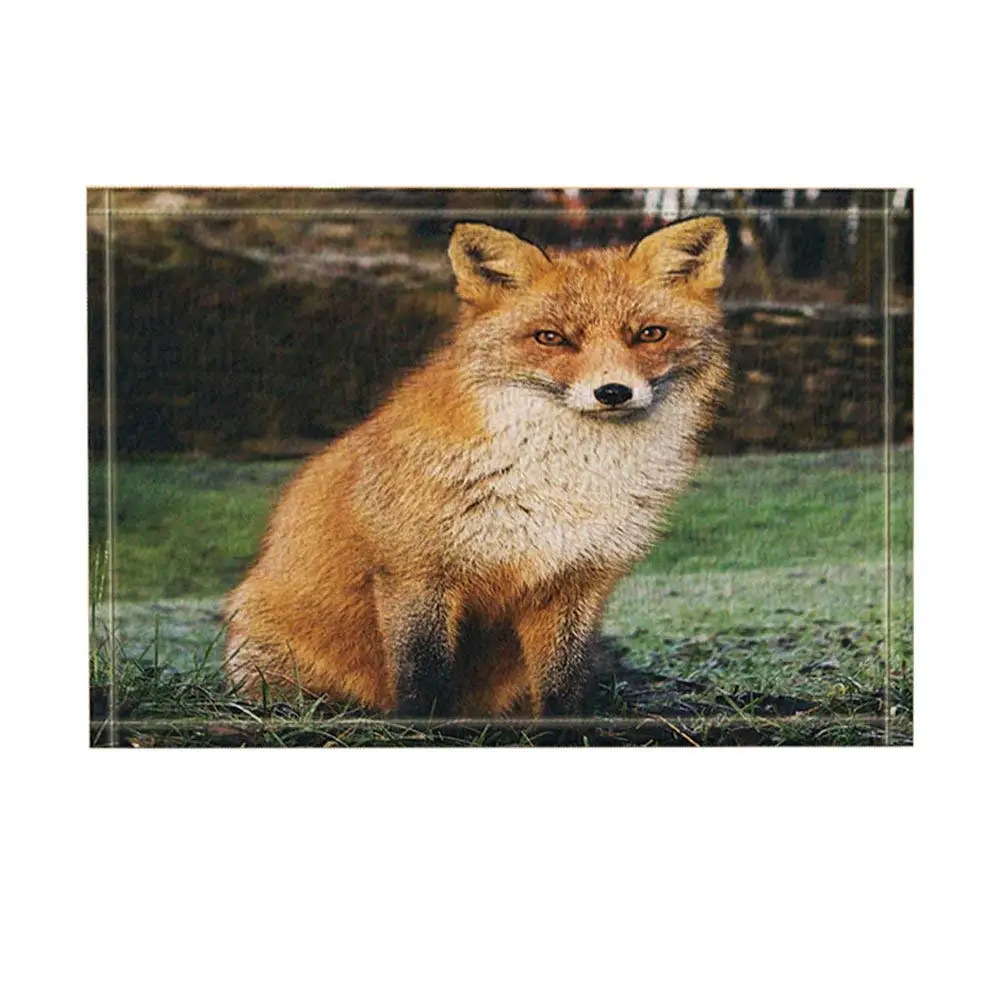 Лисий душевой Декор натуральный диких животных милые лисы в лесе коврик для ванной нескользящий дверной коврик пол вход передней двери коврик