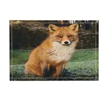 Лисий душевой Декор натуральный диких животных милые лисы в лесе коврик для ванной нескользящий дверной коврик пол вход передней двери коврик
