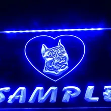 DZ075-Имя персонализированные пользовательские питбультерьер собака, дом светодиодный знак неонового света