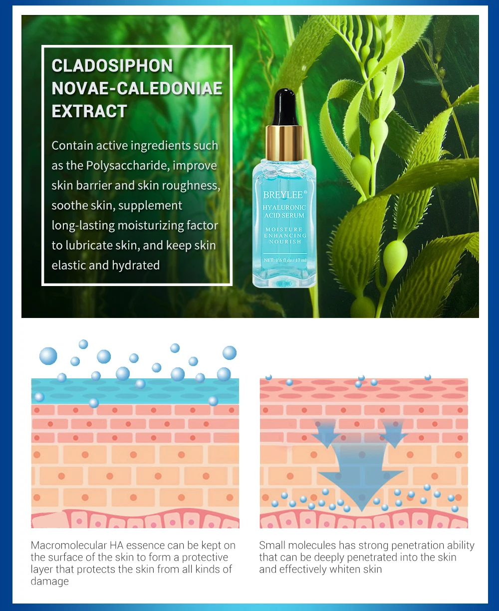 15ml(_04
