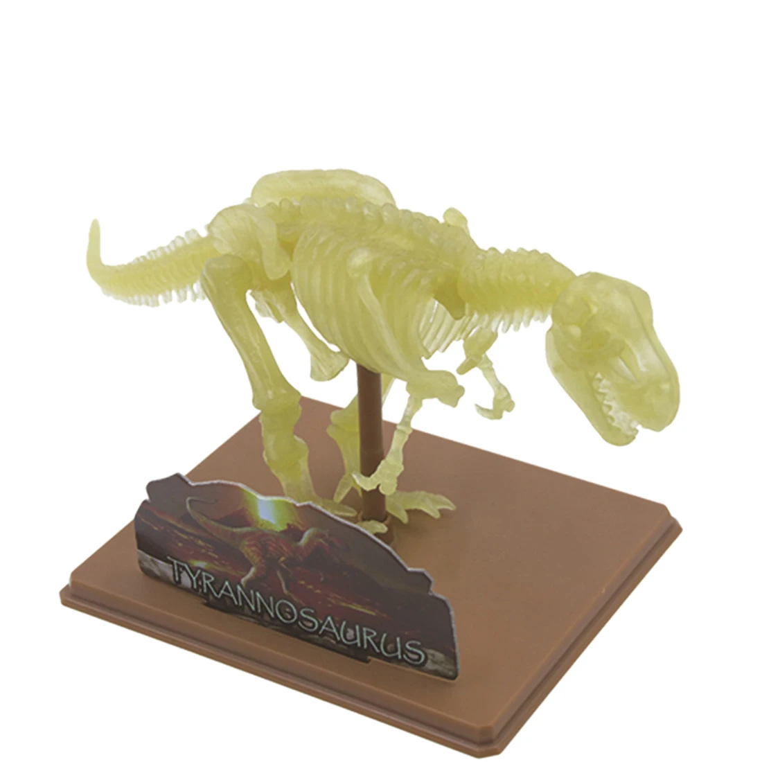 

Surwish Assembly Fluorescent Tyrannosaurus Rex Fossil DIY Children Popular Science Experimental Kit