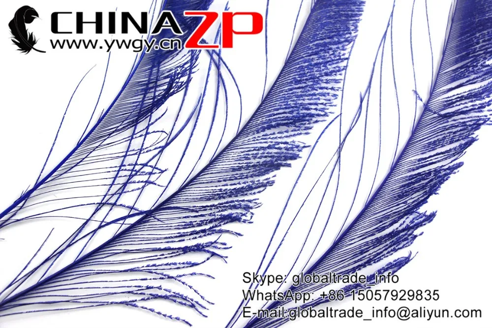 Royal Blue Peacock Sward Cut Feathers (6)