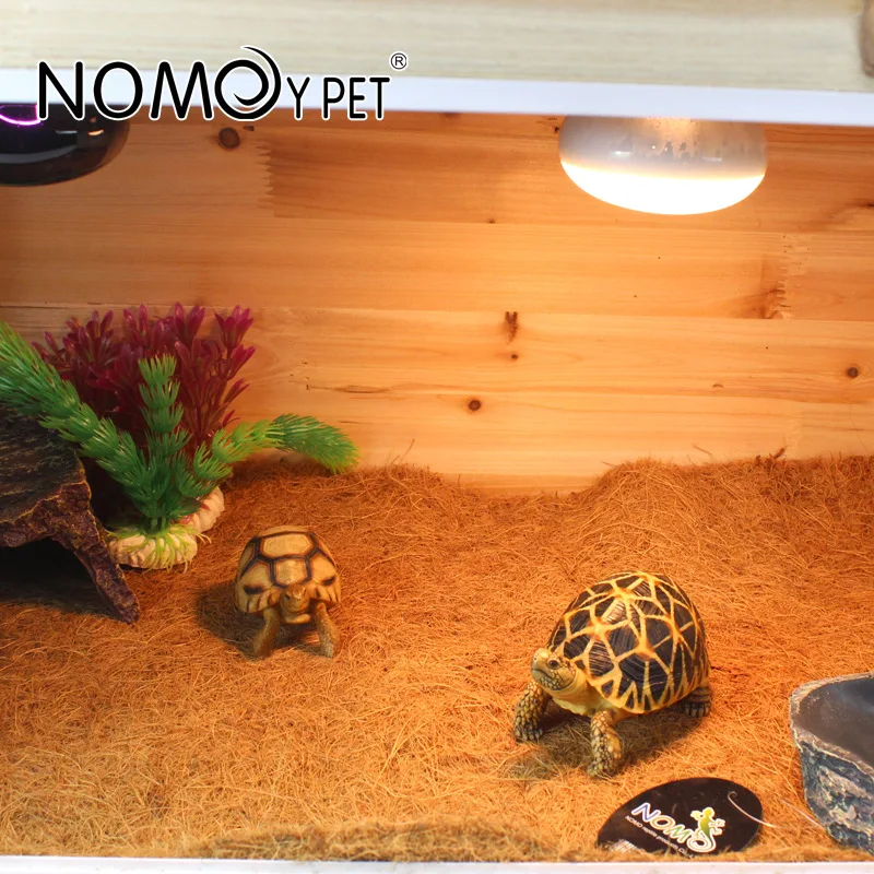 4119099776_1388865096