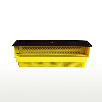 

Multifunctional Plastic Pollen Collector Removable Ventilated Pollen Tray Farm Bee Honey Hive Pollen Collector Beekeeping Tools