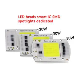 DIY LED SMD чип лампы 30 Вт 50 Вт света чип 230 В Вход непосредственно смарт-ic подходят для поделок прожектор холодный белый теплый белый