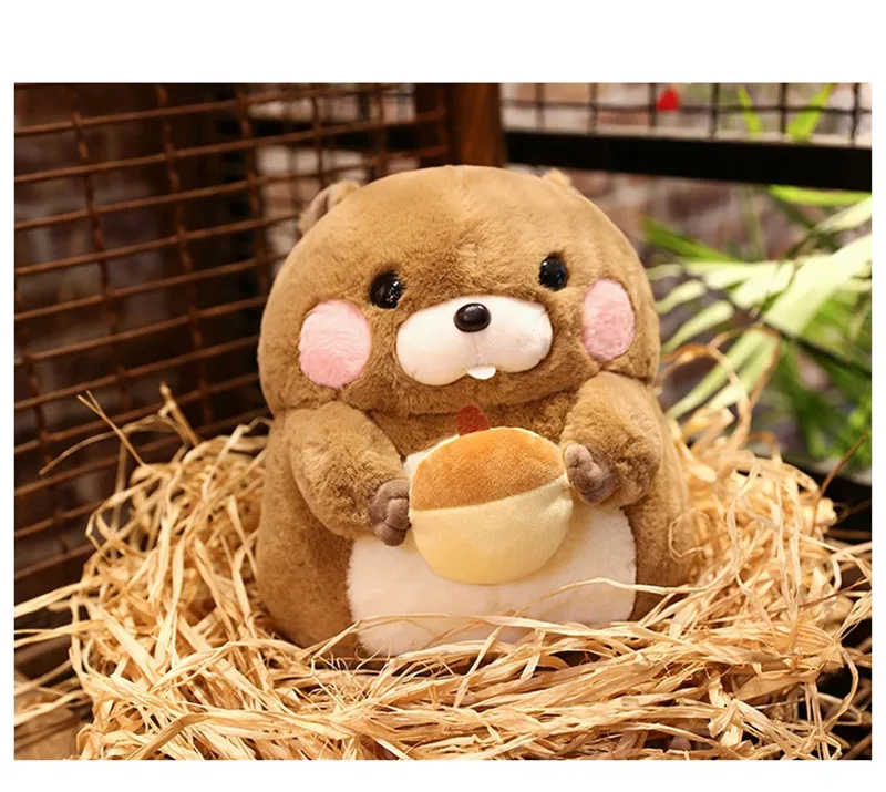 DOLLS (25)