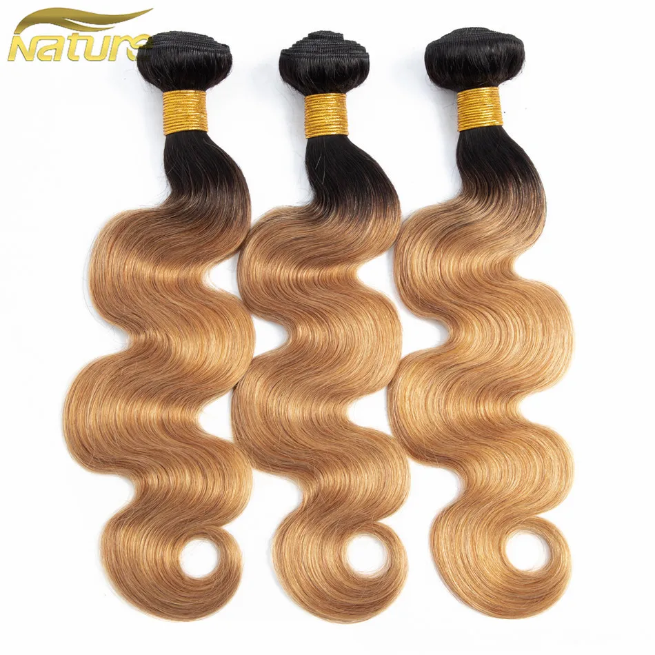 NatureHERE Bundles Blonde Brazilian Body Wave Bundles Brazilian Non Remy Hair Bundles Ombre Human Hair Bundles 2 Tone 1b/27