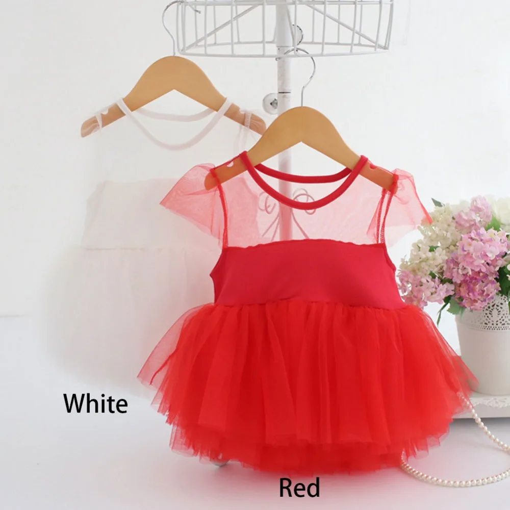 273886_no-logo_273886-1-02