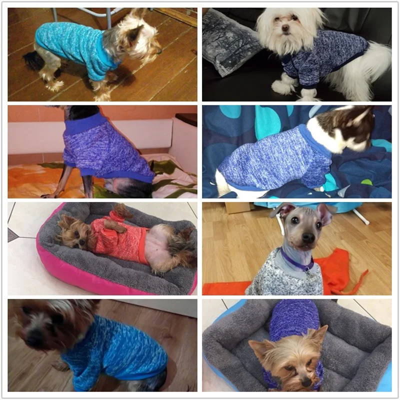 Однотонная теплая одежда для собак, зимний мягкий хлопковый свитер, одежда, пальто для щенка для маленьких собак, чихуахуа, Рождественский костюм для домашних животных
