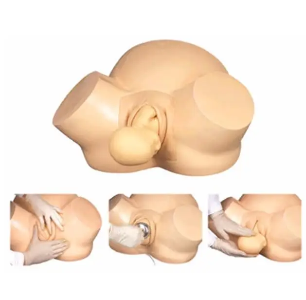 

Midwifery Training Simulator,Advanced Vacuum Delivery Simulator,accouchement model