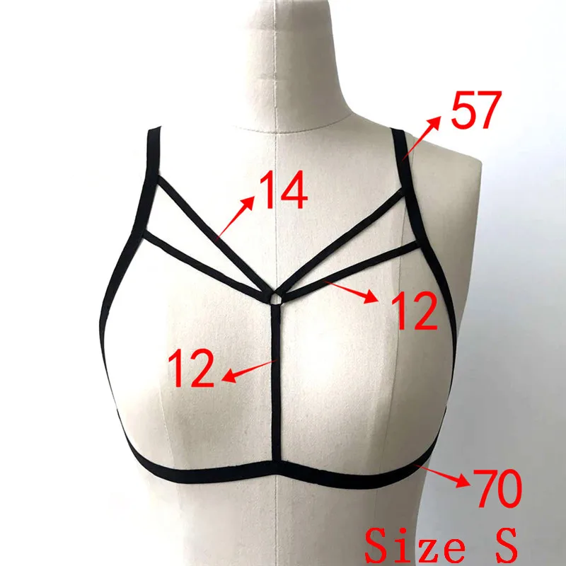 CWE0038 (1)