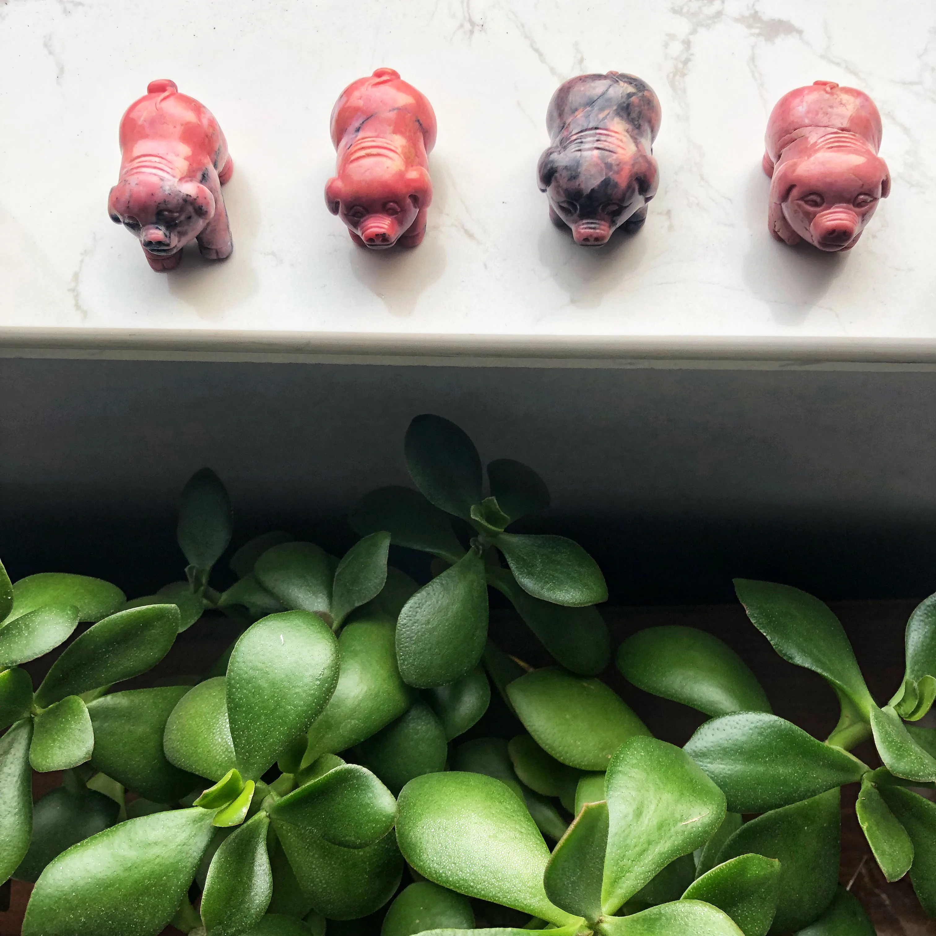 60-65g Natural gemstone High quality hand carving Rhodonite semi stone carved pigs animals