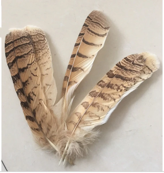 Gebeurt Hubert Hudson Vergelijkbaar Groothandel perfect 10 STKS hoogwaardige natuurlijke uil veren 25 tot 30  centimeter 10 11 inches van veer|feather tiara|feather hookfeather headress  - AliExpress