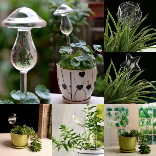 

Glass Plant Flowers Water Feeder Self Watering Bird Design Plant Waterer 6 Types