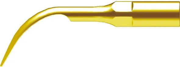 G1T