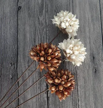 

5pcs Natural Dried White/Brown Magnolia Flower with Iron Wire For Wedding Party Home Hotel Vase Decoration DIY Bouquet Accessory