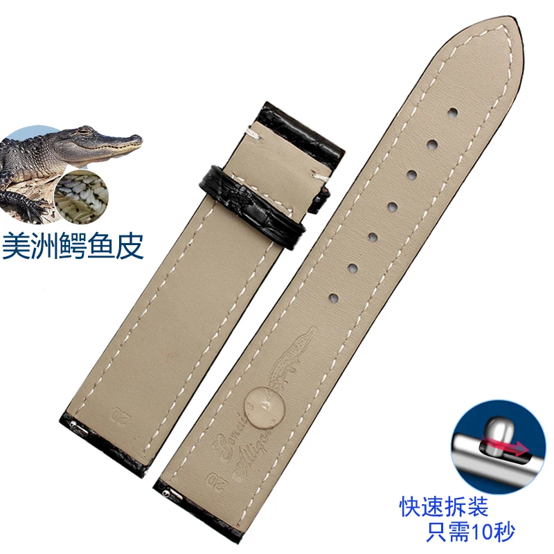 Coccodrillo Americano Bracciale Pelle Di Coccodrillo Braccialetti