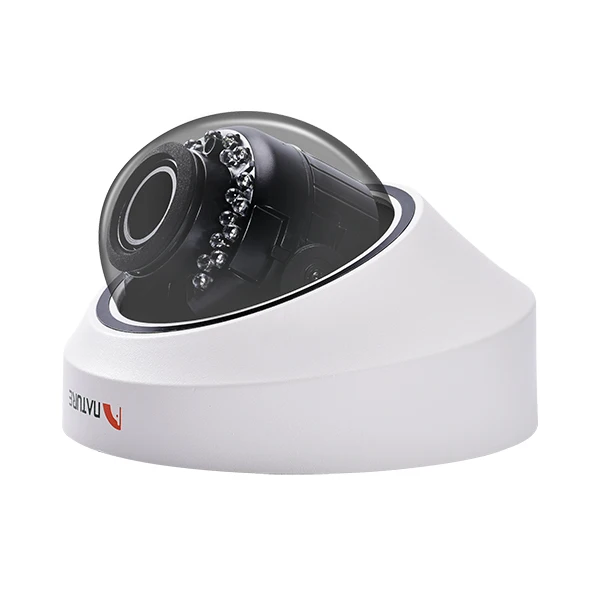 

2MP IP IR camera Motorized 2.8-12mm Security CCTV Camera Metal Dome CCTV Camera IK10 IP66 Mobile surveillance POE camera