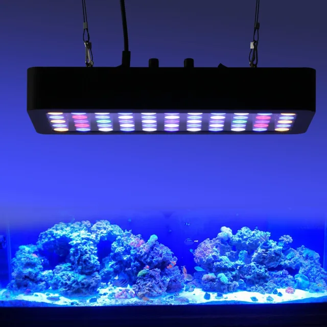 best sales full spectrum