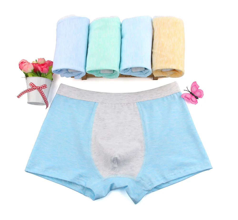 5 Pcs/Lot Organic Cotton Kids Boys Underwear Babys Shorts Panties Boys