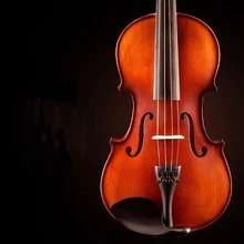 4/4 Скрипка для начинающих класс руководство для осмотра твердой древесины для взрослых детей студентов играть начинающих Скрипка