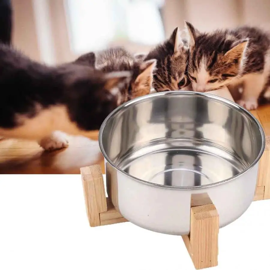Кормушка для кошек и собак из нержавеющей стали с нижним держателем для маленьких кошек и щенков