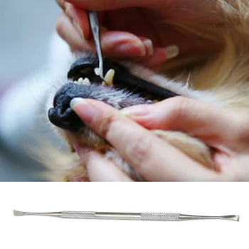 

Pet Tooth Cleaning Tool Dog Cat Tartar Stone Remover Scraper Double-head Stainless Steel for Oral Hygiene Health Care Tools