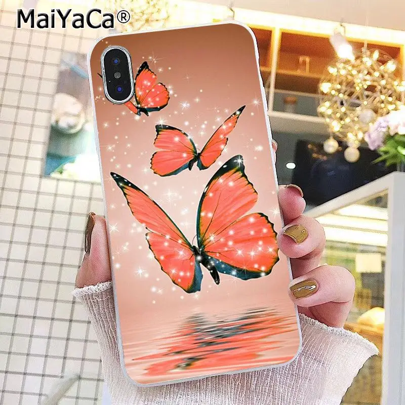 Butterfly Stand On The Cat Nose 
