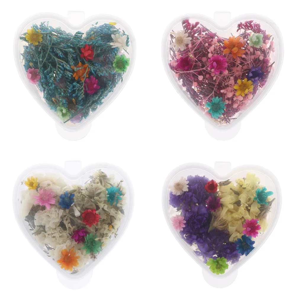 

Dried Flowers For Nail Art Decoration Preserved Flower With Heart Shape Box DIY
