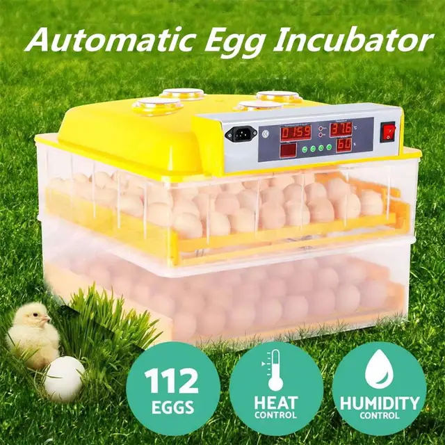 Plastic 112 Digital Chicken Eggs Incubator Temperature Control