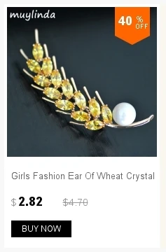 dianxiaobao