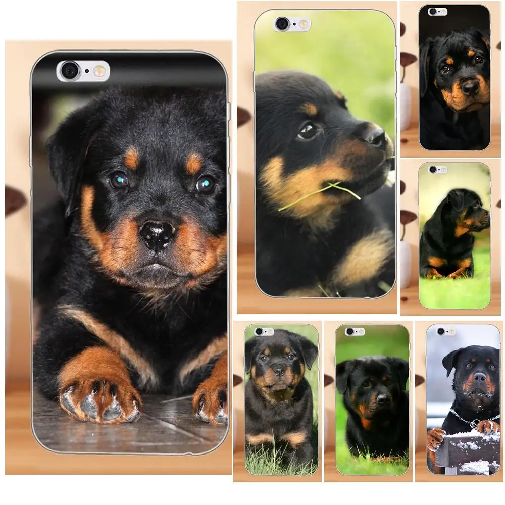 Lovely Black Rottweiler Puppy Dog Soft Shell For LG G4 G5 G6 K4 K7 K8 K10 2017 V10 V20 V30 Stylus Nexus 5 5X G2 G3 mini spirit | Мобильные